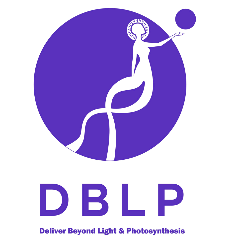 dblp