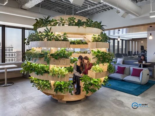 cach dieu khu vuclam viec ca nhan