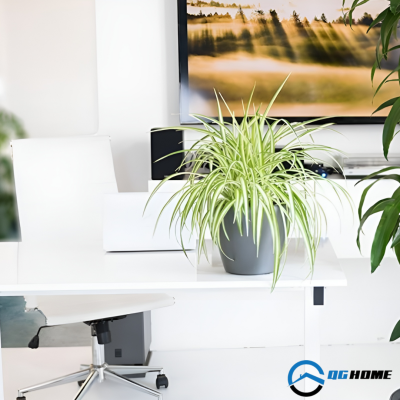 Thiet ke chua co ten 1