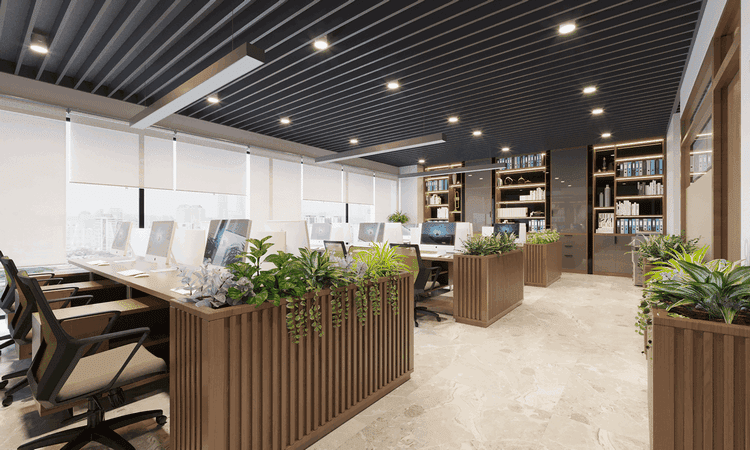 phong lam viec nhan vien sao mai