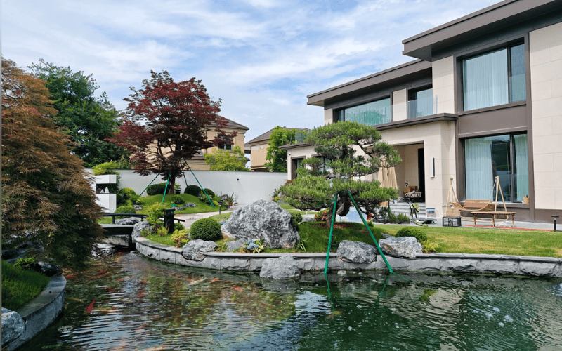 ho ca koi cho biet thu