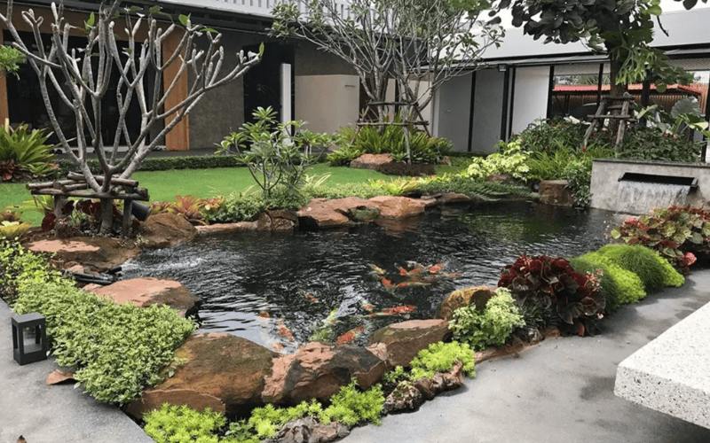 mau thiet ke ho ca koi dep