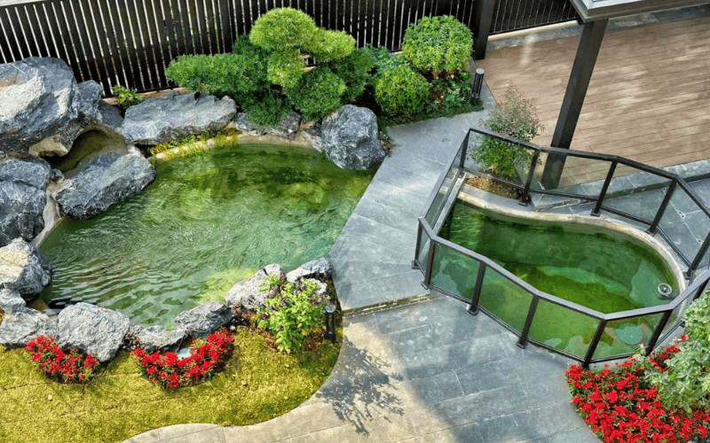 thi cong ho ca koi ha noi