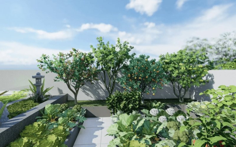 thiet ke vuon rau san thuong