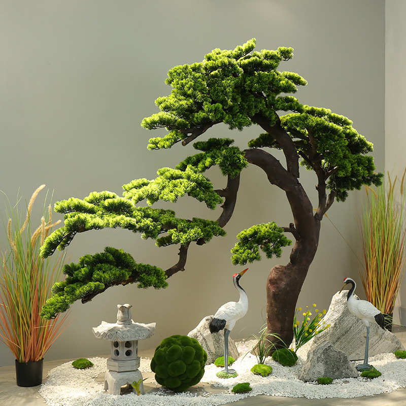 tung bonsai