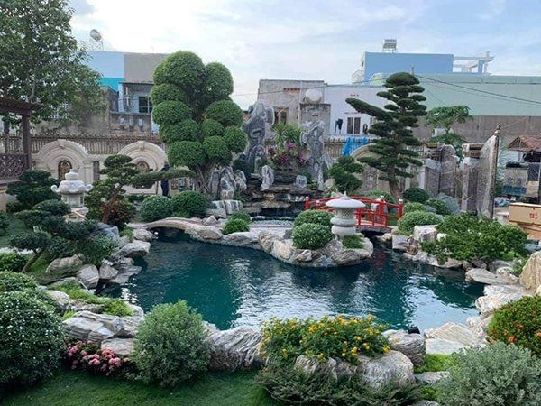 Mẫu hồ cá koi đẹp nhất