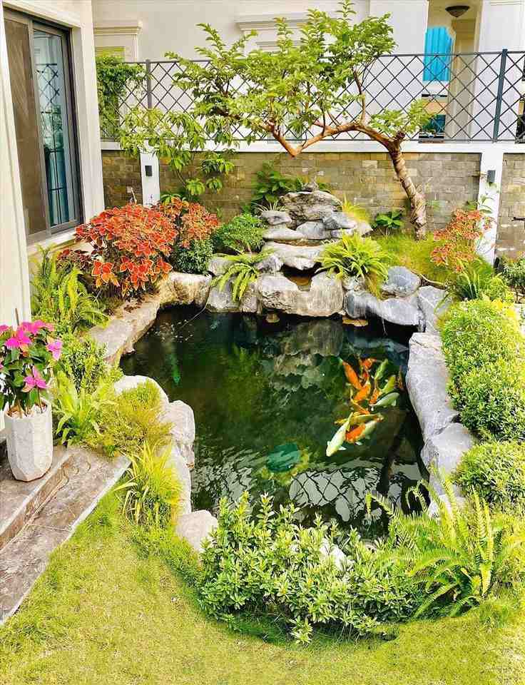 ho ca tieu canh ngoai troi