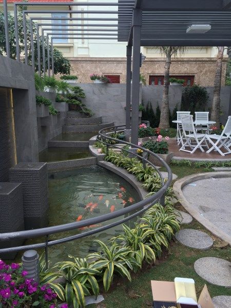 ho koi ngoai troi don gian