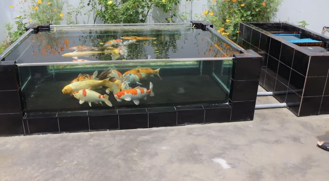 mau ho ca mini don gian