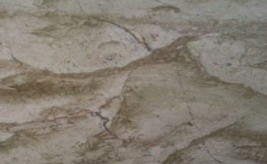 Marble Tiger Skin